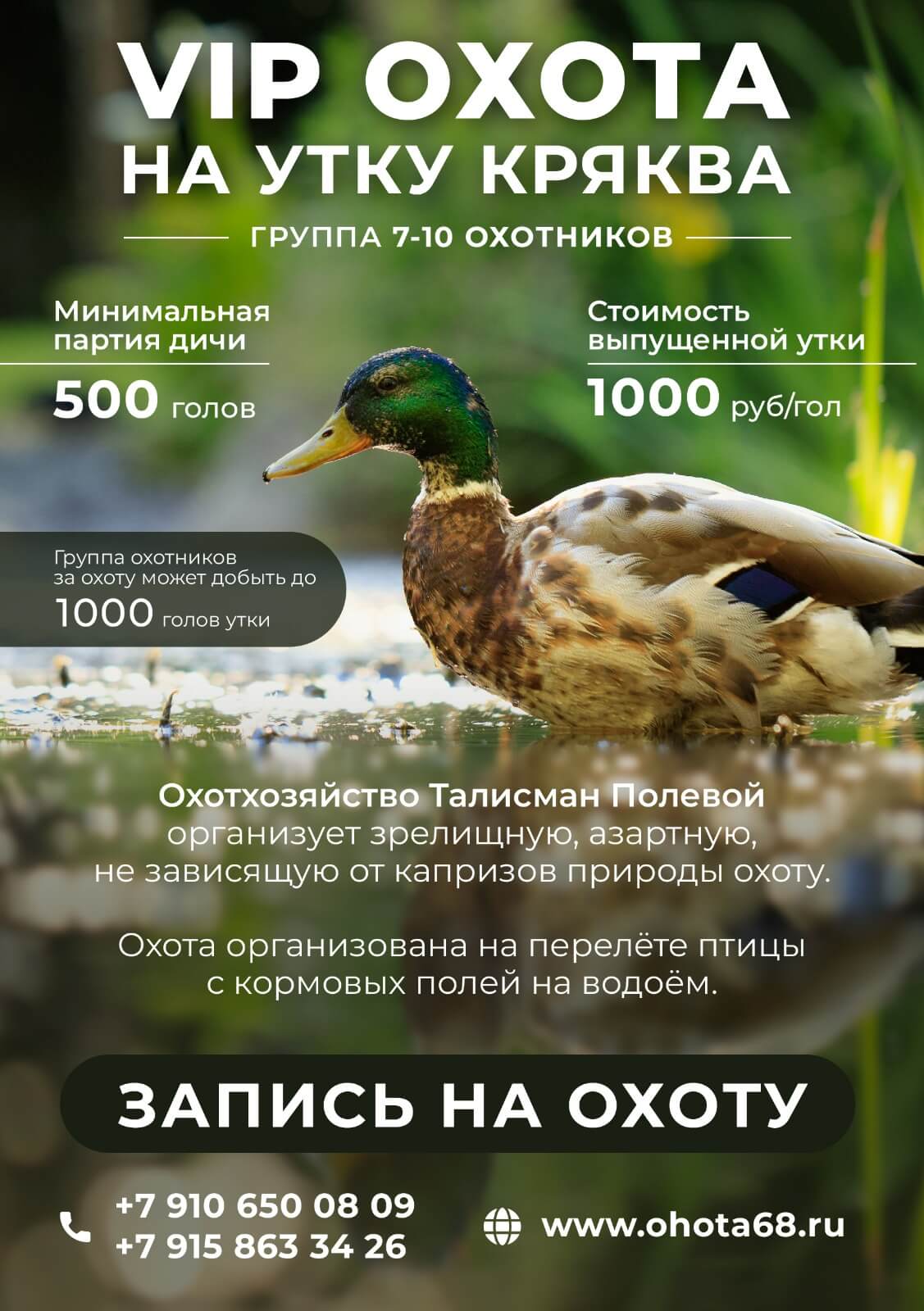 VIP охота на утку кряква на искусственном перелёте птицы VIP охота на утку кряква на искусственном перелёте птицы, Тамбовская область